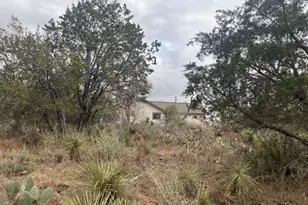 Lot 261 W Briarway Dr, Granite Shoals, TX 78654 - Photo 5