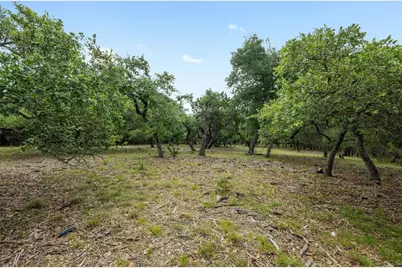 1005 Covered Bridge Drive, Driftwood, TX 78619 - Photo 5