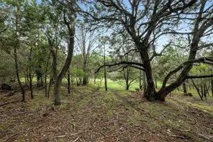 1005 Covered Bridge Dr, Driftwood, TX 78619 - Photo 1