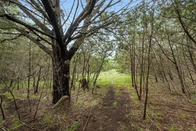 1005 Covered Bridge Drive, Driftwood, TX 78619 - Photo 13