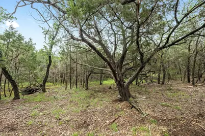 1005 Covered Bridge Drive, Driftwood, TX 78619 - Photo 11