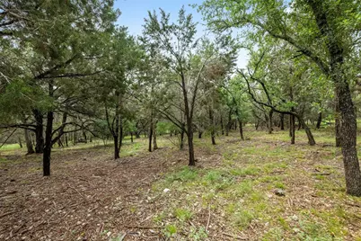 1005 Covered Bridge Drive, Driftwood, TX 78619 - Photo 9