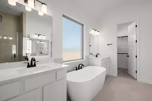 318 Wood Thrush Run, Kyle, TX 78640 - Photo 17