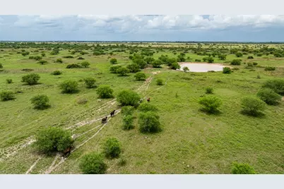Tbd Rice Road, Bernardo, TX 78933 - Photo 27