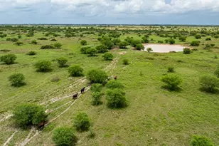 Tbd Rice Rd, Bernardo, TX 78933 - Photo 27