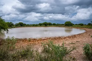 Tbd Rice Rd, Bernardo, TX 78933 - Photo 5