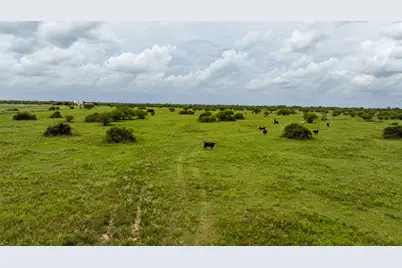 Tbd Rice Road, Bernardo, TX 78933 - Photo 25