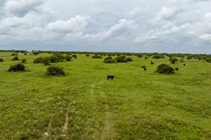 Tbd Rice Rd, Bernardo, TX 78933 - Photo 25