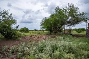 Tbd Rice Rd, Bernardo, TX 78933 - Photo 7