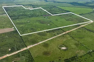 Tbd Rice Rd, Bernardo, TX 78933 - Photo 3