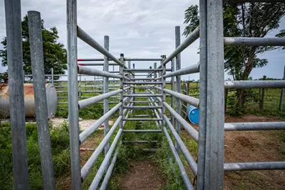 Tbd Rice Road, Bernardo, TX 78933 - Photo 13