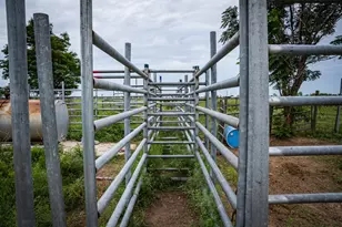Tbd Rice Rd, Bernardo, TX 78933 - Photo 13