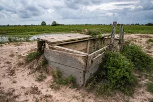 Tbd Rice Rd, Bernardo, TX 78933 - Photo 15