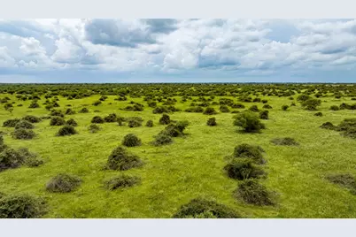 Tbd Rice Road, Bernardo, TX 78933 - Photo 31