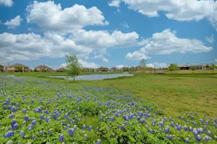 1103 Sunny Meadows Loop, Georgetown, TX 78626 - Photo 31