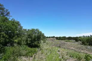 Lot 42 Serenity Dr, Bertram, TX 78605 - Photo 7