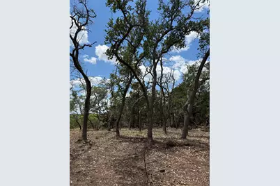 8.36 Acres Altwein Road, Blanco, TX 78606 - Photo 17
