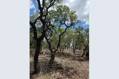 8.36 Acres Altwein Road, Blanco, TX 78606 - Photo 13