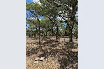 8.36 Acres Altwein Road, Blanco, TX 78606 - Photo 21