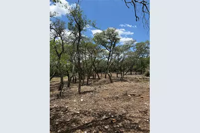 8.36 Acres Altwein Road, Blanco, TX 78606 - Photo 19