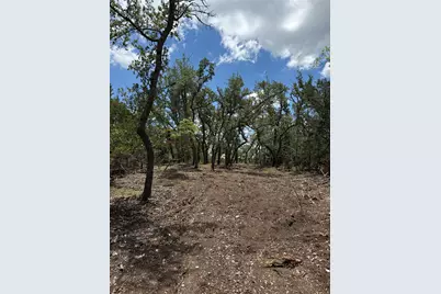 8.36 Acres Altwein Road, Blanco, TX 78606 - Photo 15