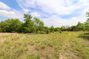 215 & 401 Live Oak, Liberty Hill, TX 78642 - Photo 7