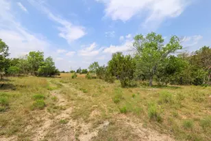 215 & 401 Live Oak, Liberty Hill, TX 78642 - Photo 5