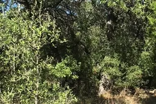 1685 Hwy 281 Hwy, Johnson City, TX 78636 - Photo 27