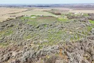 550 Co Rd 471, Thrall, TX 76578 - Photo 5