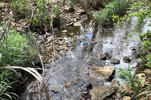 100 Dario Dr, Dripping Springs, TX 78620 - Photo 5