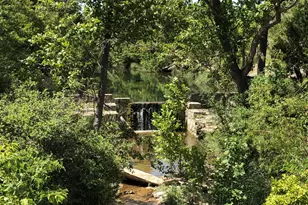 100 Dario Dr, Dripping Springs, TX 78620 - Photo 15