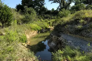 100 Dario Dr, Dripping Springs, TX 78620 - Photo 13