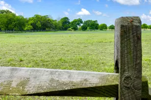 100 Dario Dr, Dripping Springs, TX 78620 - Photo 9