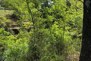 100 Dario Dr, Dripping Springs, TX 78620 - Photo 11