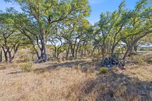 100 Dario Dr, Dripping Springs, TX 78620 - Photo 21