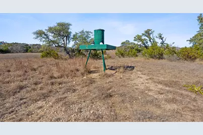 100 Dario Drive, Dripping Springs, TX 78620 - Photo 17