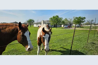 16 Brenda Lane, Round Rock, TX 78665 - Photo 7