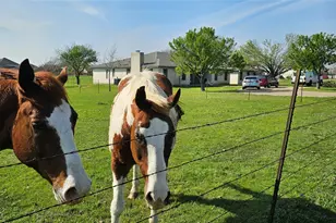 16 Brenda Ln, Round Rock, TX 78665 - Photo 7