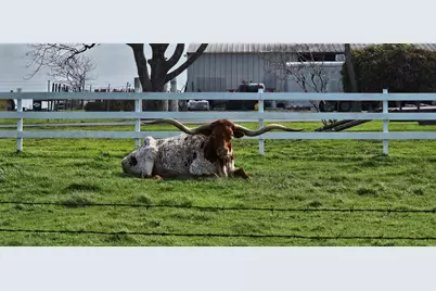 16 Brenda Lane, Round Rock, TX 78665 - Photo 3