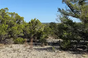 105 S Park Rd, Wimberley, TX 78676 - Photo 1