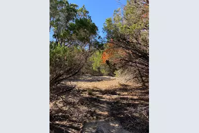 105 S Park Road, Wimberley, TX 78676 - Photo 7