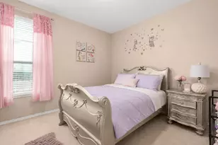 8080 Gato Ln, Round Rock, TX 78665 - Photo 17