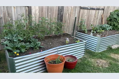 234 Spiny Lizard Lane, San Marcos, TX 78666 - Photo 25