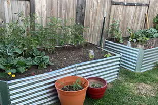 234 Spiny Lizard Ln, San Marcos, TX 78666 - Photo 25