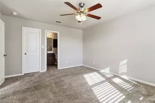 436 Spiny Lizard Ln, San Marcos, TX 78666 - Photo 17