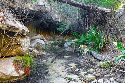 9201 Silver Pine Cove, Austin, TX 78733 - Photo 37