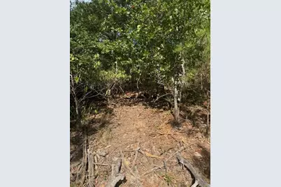 Lots 1338 and 1339 Tahitian Drive, Bastrop, TX 78602 - Photo 3