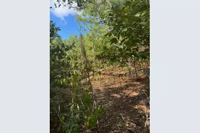 Lots 1338 and 1339 Tahitian Drive, Bastrop, TX 78602 - Photo 5
