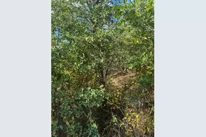 Lots 1338 and 1339 Tahitian Drive, Bastrop, TX 78602 - Photo 7