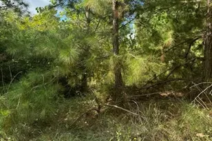 Lots 1338 and 1339 Tahitian Dr, Bastrop, TX 78602 - Photo 1